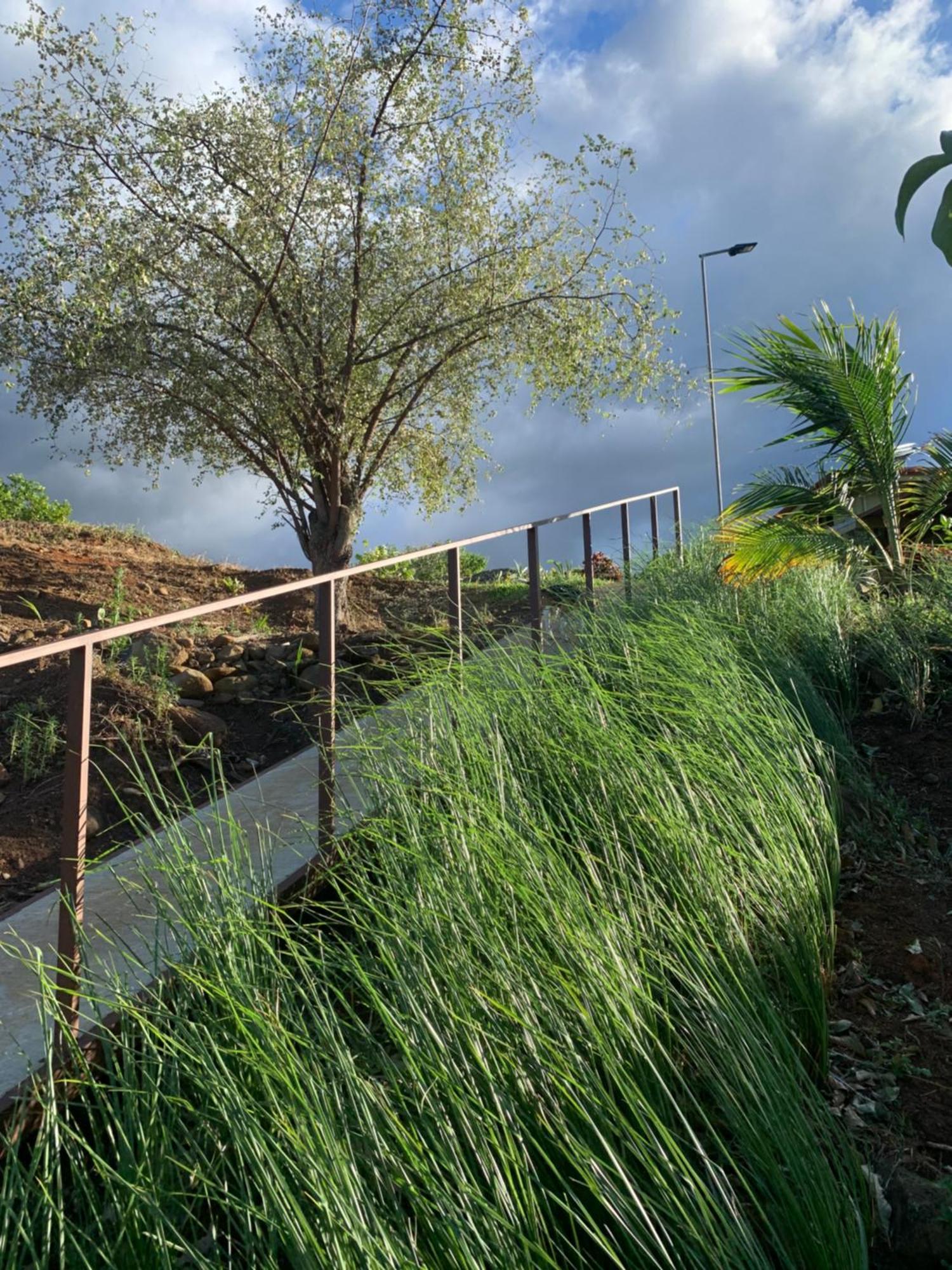 Conectar Con La Naturaleza Esparza Ngoại thất bức ảnh